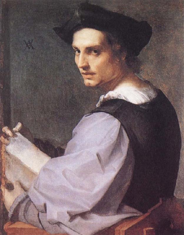 Andrea del Sarto Portrait of a Young Man oil painting picture